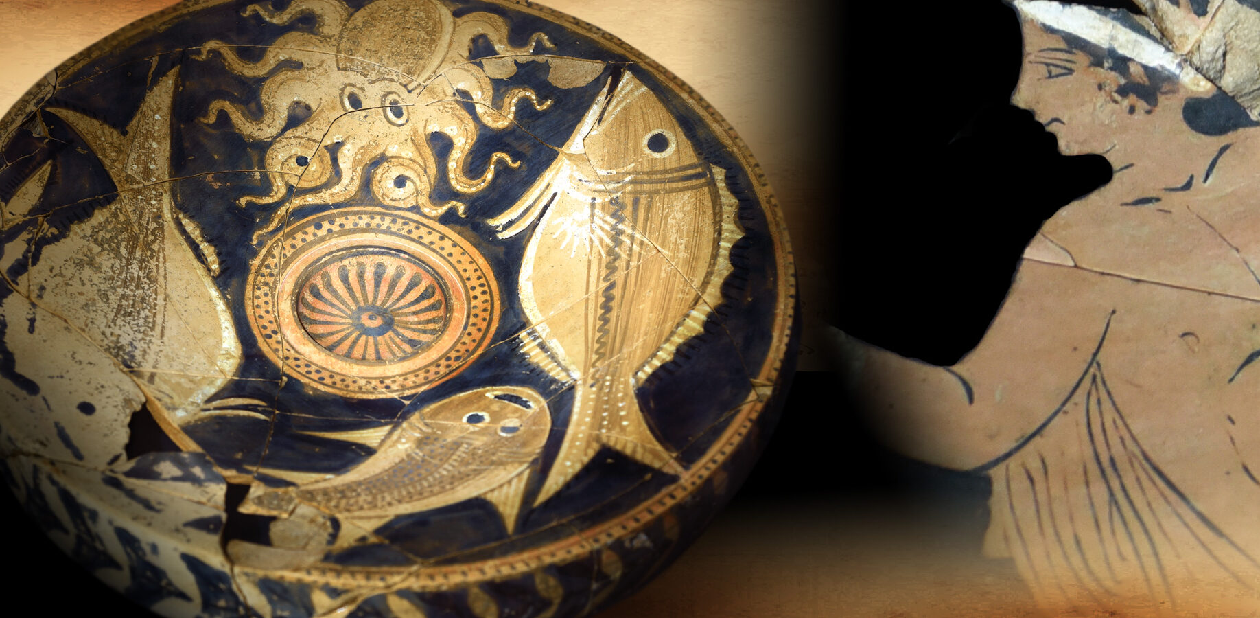 Museo archeologico di Blanda a Tortora